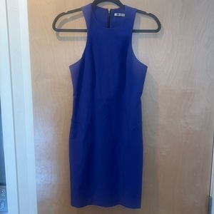 Alexander wang bodycon dress